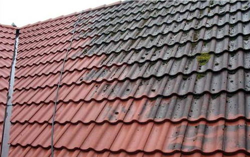 買地建房那些事兒 選對建筑外觀與建材，打造科技住宅