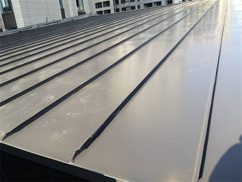 鋁鎂錳屋面裝飾板 天津勝博興業(yè)建材科技的專業(yè)選擇